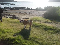 Whitireia July 2011.webp