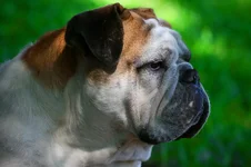 ImageUploadedByTapatalk1303772396.552483.webp