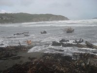 September 2010 Spring Storm at the beach1.jpg