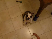 P1010240.webp