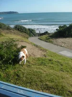SDC11667.webp