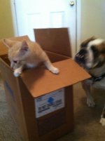 IMG_0026.jpg IMG_0026.jpg