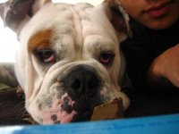 IMG_2442.jpg IMG_2442.jpg