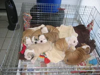 IMG_0822.webp IMG_0822.webp