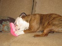 IMG_2386.jpg IMG_2386.jpg