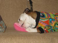 IMG_2393.jpg IMG_2393.jpg