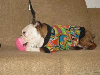 IMG_2394.jpg IMG_2394.jpg
