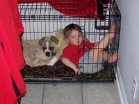 100_1655.webp