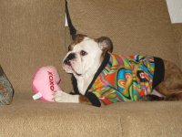 IMG_2396.jpg IMG_2396.jpg