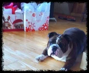 ImageUploadedByTapatalk1304118415.300720.webp