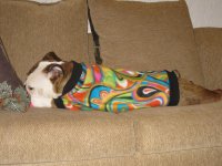 IMG_2400.jpg IMG_2400.jpg