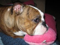 IMG_2405.jpg IMG_2405.jpg