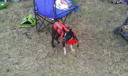 cellphone pics 07-17-2011 523.webp