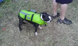 cellphone pics 07-17-2011 023.webp