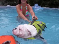 100_0654.webp
