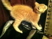IMG_0028.webp IMG_0028.webp