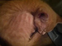 IMG_0030.webp IMG_0030.webp