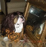 halloween.webp