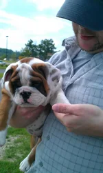 IMAG0062.webp