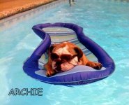 archie.pool.1.jpg