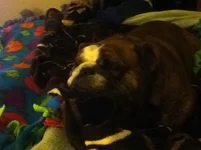 ImageUploadedByTapatalk1327813504.235114.webp