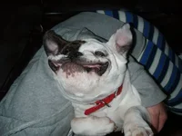 my smile.webp my smile.webp