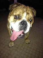 photo(2).webp