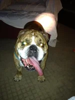 photo(3).webp
