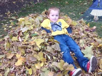 image.webp