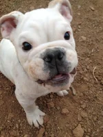 smile.webp