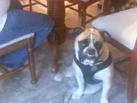 20131224_160356.webp 20131224_160356.webp