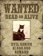 catwantedposter.jpg