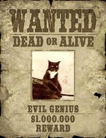 catwantedposter.jpg