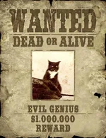 catwantedposter.webp catwantedposter.webp