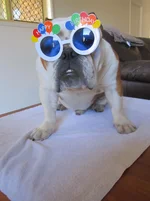 Birthday 006.webp