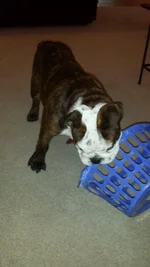 20131007_182840.webp