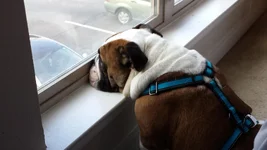20131004_171211.webp