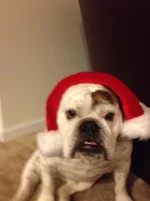 12.1.12 007.webp