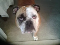 20130713_084546.webp