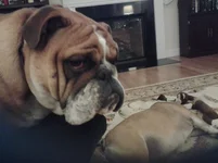 2013-10-13 19.06.04.webp