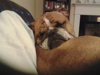 20131117_193443.webp