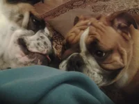 20130607_194553.webp