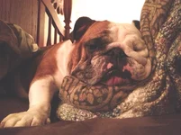 gilly.12.23.12.color.webp