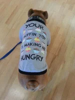 muffin.webp