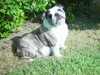 DSC01865.webp DSC01865.webp