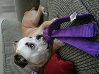20131226_135855.webp