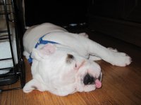 IMG_6000.jpg IMG_6000.jpg