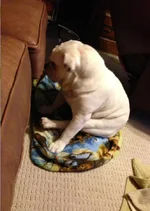 Time Out.webp