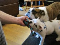 IMG_5962.jpg IMG_5962.jpg