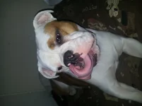 20130702_063531.webp